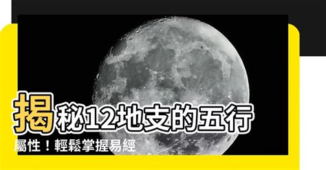 卯屬性|【12地支 五行】揭秘12地支的五行屬性！輕鬆掌握易。